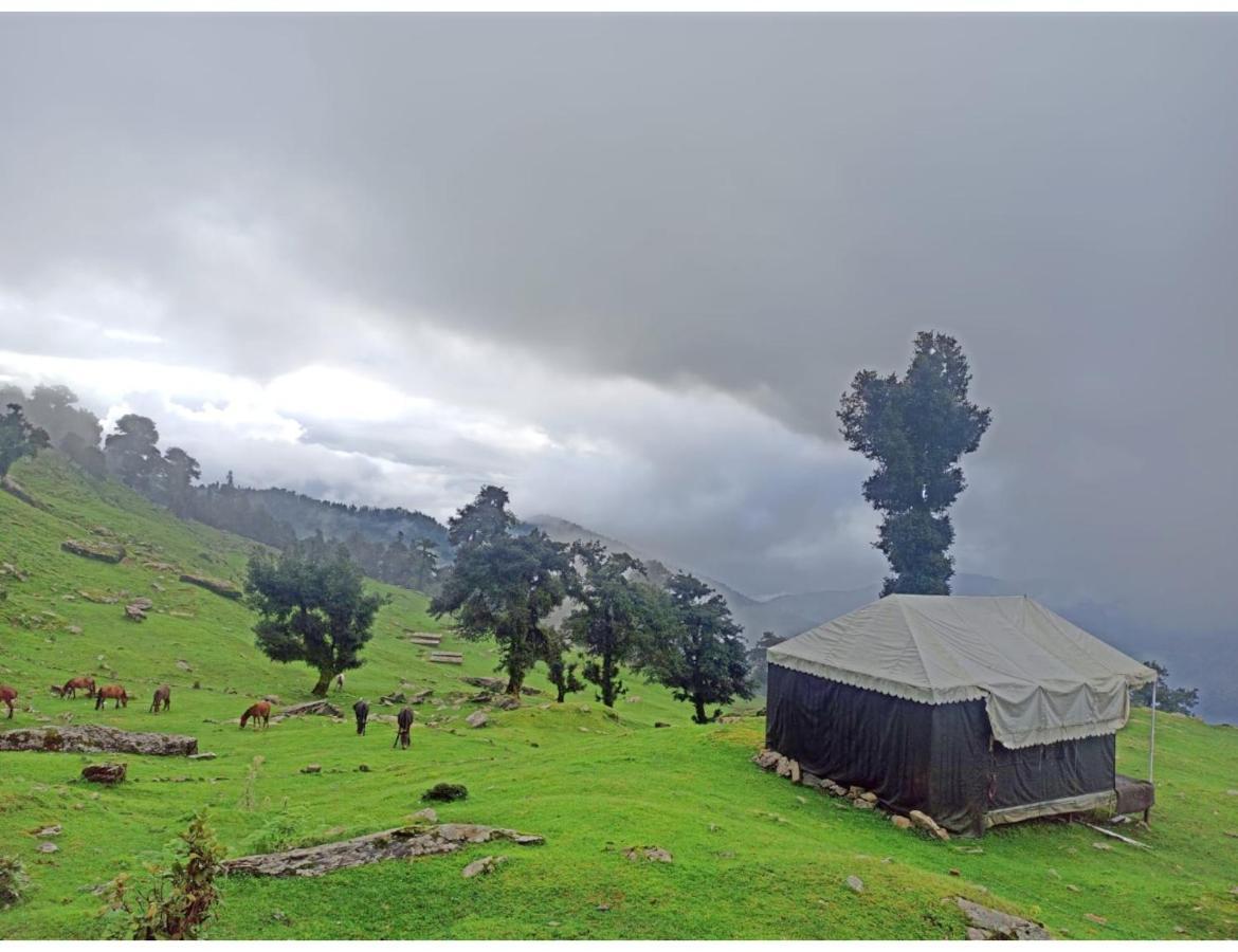 Chopta Wildlife Camps Resorts, Chopta Exteriér fotografie