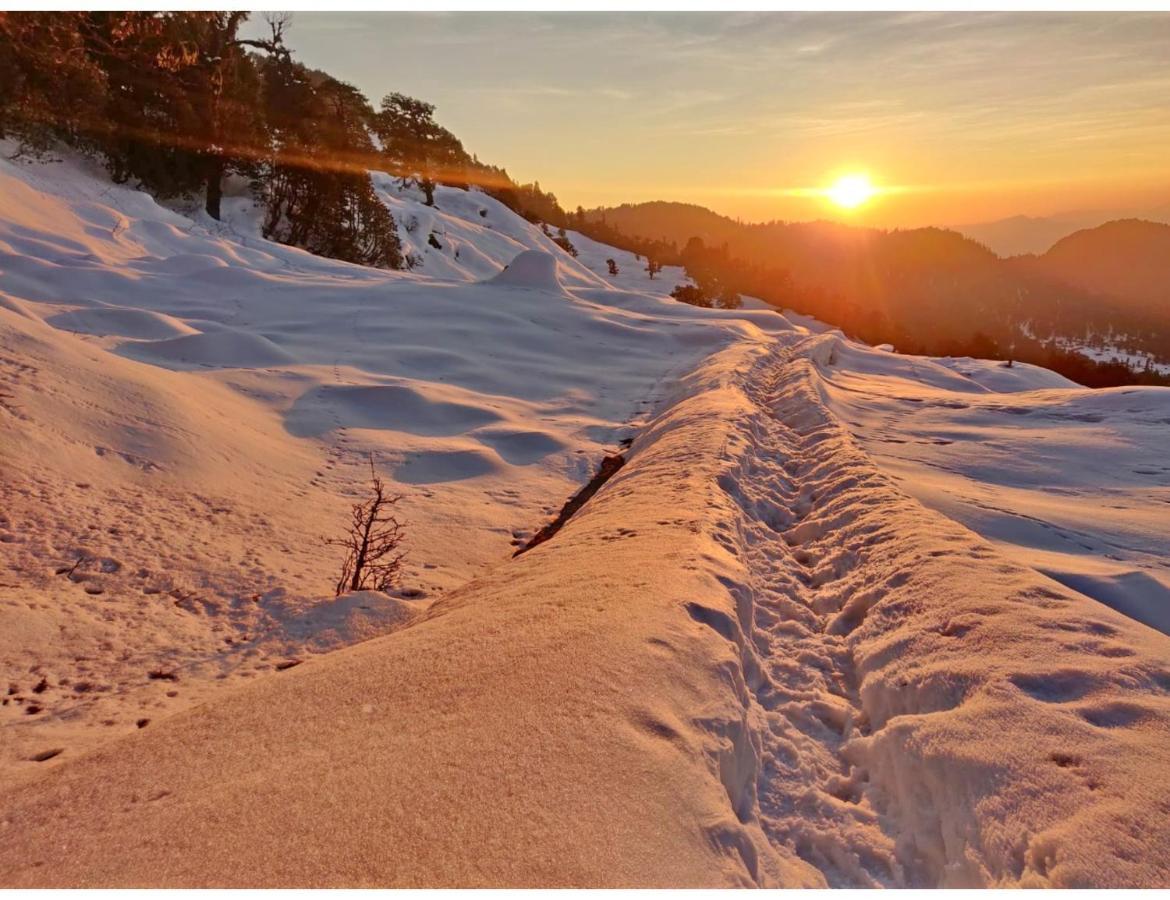 Chopta Wildlife Camps Resorts, Chopta Exteriér fotografie