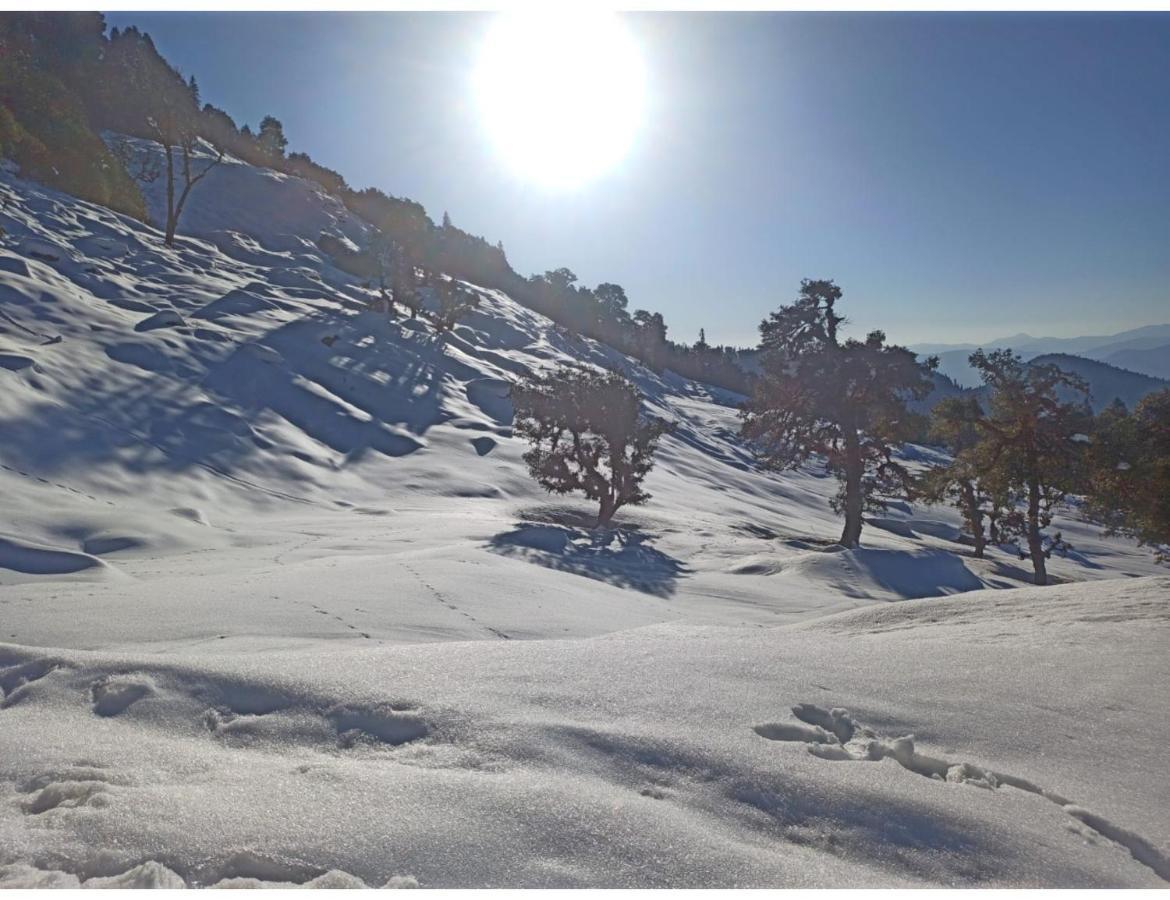 Chopta Wildlife Camps Resorts, Chopta Exteriér fotografie