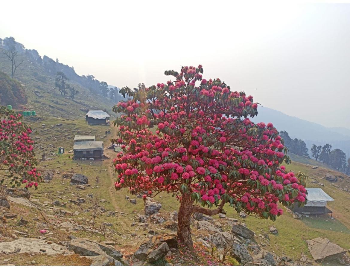 Chopta Wildlife Camps Resorts, Chopta Exteriér fotografie