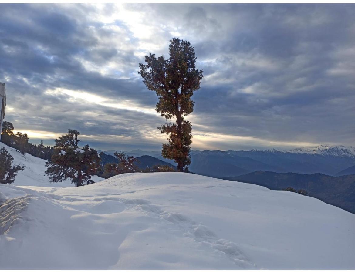 Chopta Wildlife Camps Resorts, Chopta Exteriér fotografie