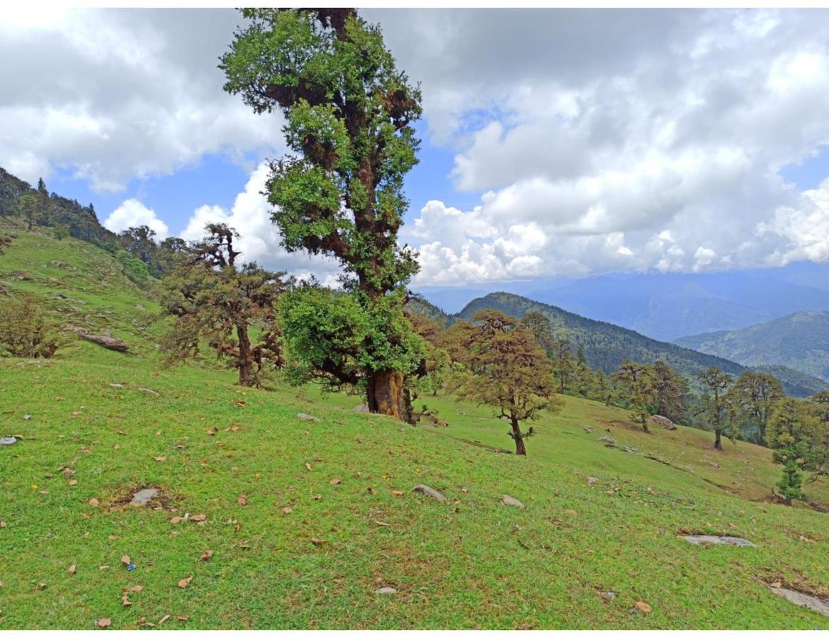 Chopta Wildlife Camps Resorts, Chopta Exteriér fotografie
